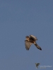 Filename=096_fotowilga~62.JPG
Filesize=157KB
Dimensions=525x700
Date added=Jan 15, 2019 096_fotowilga~62.JPG