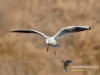 Filename=097_fotowilga~31.JPG
Filesize=72KB
Dimensions=640x480
Date added=May 05, 2016 097_fotowilga~31.JPG