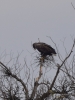 Filename=097_fotowilga~59.JPG
Filesize=241KB
Dimensions=525x700
Date added=Jan 05, 2019 097_fotowilga~59.JPG