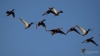 Filename=097_fotowilga~61.JPG
Filesize=128KB
Dimensions=700x398
Date added=Jan 22, 2019 097_fotowilga~61.JPG