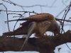 Filename=097_fotowilga~67.JPG
Filesize=251KB
Dimensions=700x525
Date added=Apr 29, 2019 097_fotowilga~67.JPG