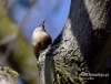 Filename=098_fotowilga~41.JPG
Filesize=112KB
Dimensions=631x480
Date added=Apr 02, 2017 098_fotowilga~41.JPG