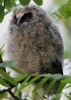 Filename=098_fotowilga~49.JPG
Filesize=259KB
Dimensions=499x700
Date added=Jun 29, 2017 098_fotowilga~49.JPG