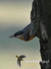 Filename=099_fotowilga~21.JPG
Filesize=60KB
Dimensions=357x480
Date added=Apr 26, 2016 099_fotowilga~21.JPG