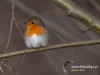 Filename=099_fotowilga~35.JPG
Filesize=77KB
Dimensions=640x480
Date added=Mar 13, 2017 099_fotowilga~35.JPG