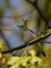 Filename=099_fotowilga~40.JPG
Filesize=215KB
Dimensions=525x700
Date added=Aug 02, 2017 099_fotowilga~40.JPG