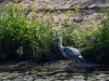 Filename=099_fotowilga~57.JPG
Filesize=392KB
Dimensions=700x525
Date added=Mar 25, 2019 099_fotowilga~57.JPG
