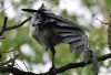 Filename=099_fotowilga~64.JPG
Filesize=234KB
Dimensions=700x479
Date added=Oct 16, 2019 099_fotowilga~64.JPG