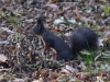 Filename=100_fotowilga~48.JPG
Filesize=354KB
Dimensions=700x525
Date added=Dec 08, 2017 100_fotowilga~48.JPG