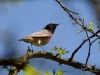Filename=100_fotowilga~56.JPG
Filesize=240KB
Dimensions=700x525
Date added=May 01, 2018 100_fotowilga~56.JPG
