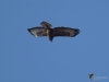 Filename=1011_fotowilga.JPG
Filesize=188KB
Dimensions=700x525
Date added=May 18, 2019 1011_fotowilga.JPG