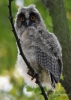 Filename=101_fotowilga~43.JPG
Filesize=267KB
Dimensions=499x700
Date added=Jun 29, 2017 101_fotowilga~43.JPG