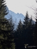Filename=101_fotowilga~56.JPG
Filesize=295KB
Dimensions=525x700
Date added=Mar 15, 2018 101_fotowilga~56.JPG