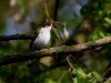 Filename=101_fotowilga~64.JPG
Filesize=239KB
Dimensions=700x525
Date added=Feb 27, 2019 101_fotowilga~64.JPG