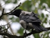 Filename=101_fotowilga~71.JPG
Filesize=260KB
Dimensions=700x525
Date added=Jul 15, 2019 101_fotowilga~71.JPG