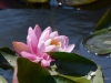 Filename=101_fotowilga~73.JPG
Filesize=228KB
Dimensions=700x525
Date added=Oct 13, 2019 101_fotowilga~73.JPG