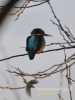 Filename=102_fotowilga~27.JPG
Filesize=67KB
Dimensions=360x480
Date added=Mar 31, 2016 102_fotowilga~27.JPG