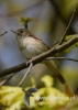 Filename=102_fotowilga~29.JPG
Filesize=49KB
Dimensions=343x480
Date added=Aug 03, 2016 102_fotowilga~29.JPG