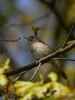 Filename=102_fotowilga~46.JPG
Filesize=207KB
Dimensions=525x700
Date added=Aug 22, 2017 102_fotowilga~46.JPG