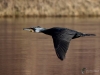 Filename=102_fotowilga~70.JPG
Filesize=242KB
Dimensions=700x525
Date added=Oct 15, 2019 102_fotowilga~70.JPG