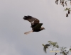 Filename=103_fotowilga~33.JPG
Filesize=48KB
Dimensions=611x480
Date added=Jul 06, 2016 103_fotowilga~33.JPG