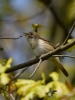 Filename=103_fotowilga~46.JPG
Filesize=215KB
Dimensions=525x700
Date added=Aug 02, 2017 103_fotowilga~46.JPG