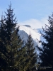Filename=103_fotowilga~52.JPG
Filesize=304KB
Dimensions=525x700
Date added=Nov 13, 2018 103_fotowilga~52.JPG