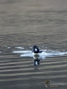 Filename=103_fotowilga~56.JPG
Filesize=289KB
Dimensions=525x700
Date added=Feb 05, 2019 103_fotowilga~56.JPG
