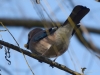 Filename=103_fotowilga~61.JPG
Filesize=237KB
Dimensions=700x525
Date added=Jun 05, 2019 103_fotowilga~61.JPG