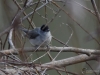 Filename=103_fotowilga~67.JPG
Filesize=267KB
Dimensions=700x525
Date added=Oct 17, 2019 103_fotowilga~67.JPG