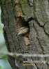 104_fotowilga~15.JPG