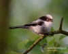 Filename=104_fotowilga~35.JPG
Filesize=70KB
Dimensions=600x480
Date added=Feb 21, 2017 104_fotowilga~35.JPG