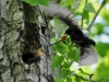 Filename=104_fotowilga~41.JPG
Filesize=306KB
Dimensions=700x525
Date added=Jun 02, 2017 104_fotowilga~41.JPG