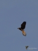 Filename=104_fotowilga~61.JPG
Filesize=168KB
Dimensions=525x700
Date added=Jan 15, 2019 104_fotowilga~61.JPG