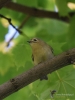 Filename=104_fotowilga~64.JPG
Filesize=261KB
Dimensions=525x700
Date added=Feb 14, 2019 104_fotowilga~64.JPG