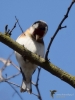 Filename=104_fotowilga~67.JPG
Filesize=221KB
Dimensions=525x700
Date added=Apr 05, 2019 104_fotowilga~67.JPG