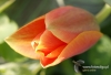 Filename=104_fotowilga~7.JPG
Filesize=252KB
Dimensions=720x493
Date added=Jul 25, 2014 104_fotowilga~7.JPG