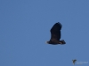 Filename=104_fotowilga~71.JPG
Filesize=174KB
Dimensions=700x525
Date added=Dec 05, 2019 104_fotowilga~71.JPG