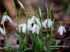 Filename=105_fotowilga~43.JPG
Filesize=77KB
Dimensions=640x480
Date added=Mar 07, 2017 105_fotowilga~43.JPG