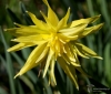 Filename=105_fotowilga~46.JPG
Filesize=277KB
Dimensions=700x601
Date added=Apr 14, 2017 105_fotowilga~46.JPG