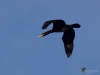 Filename=105_fotowilga~56.JPG
Filesize=177KB
Dimensions=700x525
Date added=Dec 06, 2017 105_fotowilga~56.JPG
