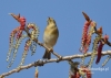 Filename=105_fotowilga~57.JPG
Filesize=99KB
Dimensions=640x457
Date added=Dec 13, 2017 105_fotowilga~57.JPG