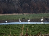105_fotowilga~59.JPG
