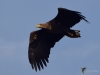 Filename=105_fotowilga~65.JPG
Filesize=200KB
Dimensions=700x525
Date added=Jan 02, 2019 105_fotowilga~65.JPG