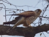 Filename=105_fotowilga~70.JPG
Filesize=254KB
Dimensions=700x525
Date added=May 05, 2019 105_fotowilga~70.JPG