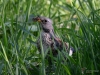 Filename=105_fotowilga~71.JPG
Filesize=301KB
Dimensions=700x525
Date added=May 06, 2019 105_fotowilga~71.JPG