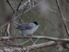 Filename=105_fotowilga~75.JPG
Filesize=273KB
Dimensions=700x525
Date added=Oct 17, 2019 105_fotowilga~75.JPG