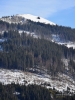 106_fotowilga~45.JPG
