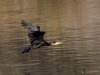 Filename=106_fotowilga~69.JPG
Filesize=266KB
Dimensions=700x525
Date added=Apr 18, 2019 106_fotowilga~69.JPG