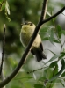 Filename=107_fotowilga~37.JPG
Filesize=240KB
Dimensions=519x700
Date added=Jan 23, 2019 107_fotowilga~37.JPG